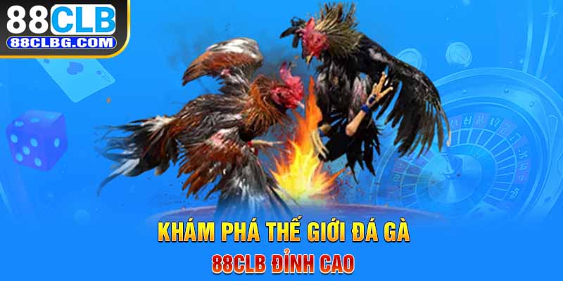 Khám phá thế giới đá gà 88CLB đỉnh cao