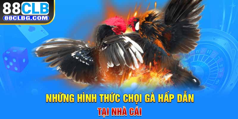 Những hình thức chọi gà hấp dẫn tại 88CLB